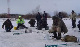 Nemuno deltoje pasirodė pirmosios stintos