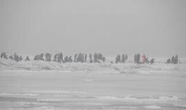 Kuršių marių ledą prie Klaipėdos apgulė žvejai