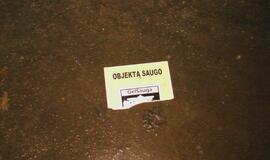 BMW fanas rėžėsi į vartus