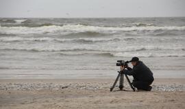 Jūros pakrantėje Smiltynėje - daugybė negyvų žuvų