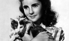 Elizabeth Taylor. Retrospektyva