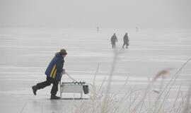 Kuršių marių ledą prie Klaipėdos apgulė žvejai