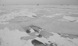 Kuršių marių ledą prie Klaipėdos apgulė žvejai