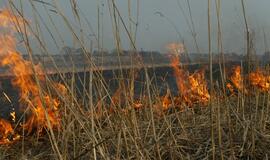 Ugniagesiai perspėja: gamtoje su ugnimi elkitės atsargiai