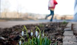 Klaipėda: VE.lt pristato balandžio 26-osios įvykius