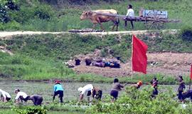 Maisto atsargos Šiaurės Korėjoje baigsis jau birželį