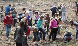 Medelių sodinimo akcija Kuršių nerijoje