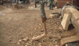 Vytinės nepaskandino istorijos tėkmė