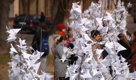 Solidarumui su Kudži - popierinių gervelių akcija