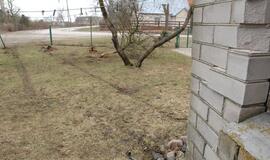 Girto policininko, įtariama, sukelta avarija Drevernoje