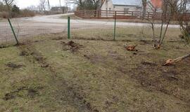 Girto policininko, įtariama, sukelta avarija Drevernoje