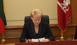 Dalia Grybauskaitė: suskystintų dujų terminalo statybų tempai per lėti