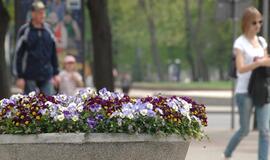 Klaipėda: VE.lt pristato gegužės 17-osios įvykius