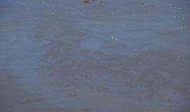 Danės upėje pastebėtos teršalų dėmės