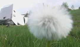 Susidūrimas baigėsi be kraujo