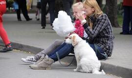 Šilutė švenčia 500-ąjį gimtadienį