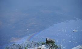 Danės upėje pastebėtos teršalų dėmės