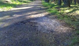 Naikinamas dviračių takas