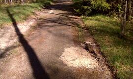 Naikinamas dviračių takas