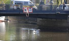 Girti jaunuoliai šokinėjo nuo Biržos tilto