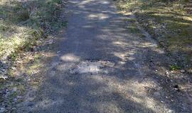 Naikinamas dviračių takas