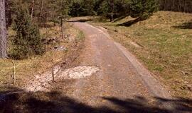 Naikinamas dviračių takas