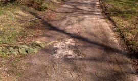 Naikinamas dviračių takas