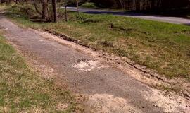 Naikinamas dviračių takas