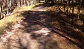 Naikinamas dviračių takas