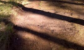 Naikinamas dviračių takas