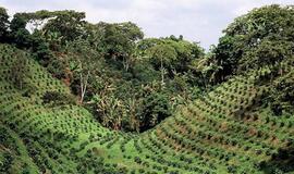 Kolumbija, mano meile