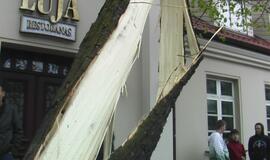 Jauną vairuotoją sustabdė medis