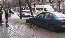 Jauną vairuotoją sustabdė medis