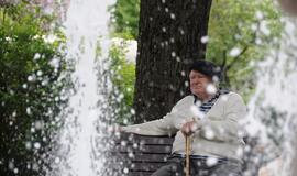 Šilutė švenčia 500-ąjį gimtadienį