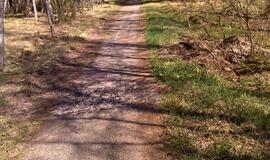 Naikinamas dviračių takas