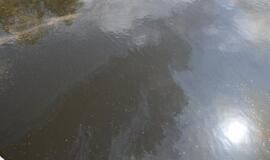 Danės upėje pastebėtos teršalų dėmės