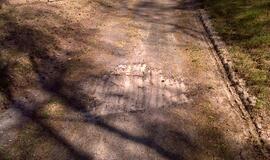 Naikinamas dviračių takas