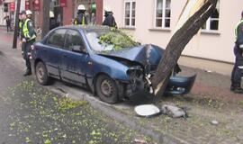 Jauną vairuotoją sustabdė medis