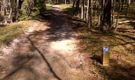 Naikinamas dviračių takas