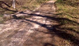 Naikinamas dviračių takas