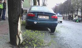 Jauną vairuotoją sustabdė medis