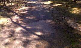 Naikinamas dviračių takas