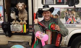 Šilutė švenčia 500-ąjį gimtadienį