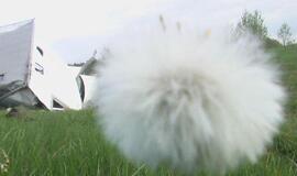 Susidūrimas baigėsi be kraujo