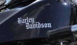 Avarijos metu žuvo "Harley-Davidson" vairuotojas