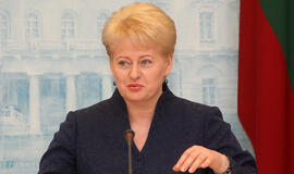Dalia Grybauskaitė: nereikėtų puoselėti iliuzijų dėl ES paramos naujos AE statyboms