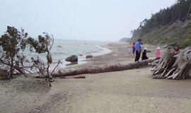 Patikslinta Baltijos jūros kranto linija