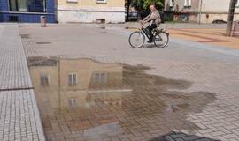 Balos M. Mažvydo alėjoje