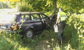 "Audi" sustabdė pakelės medis