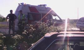 "Audi" sustabdė pakelės medis